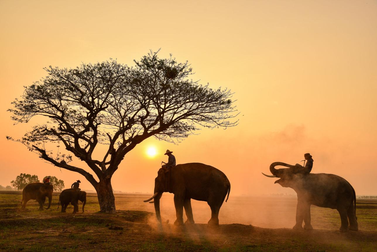 🌍 Introduction: A World Where Nature Pushes Back